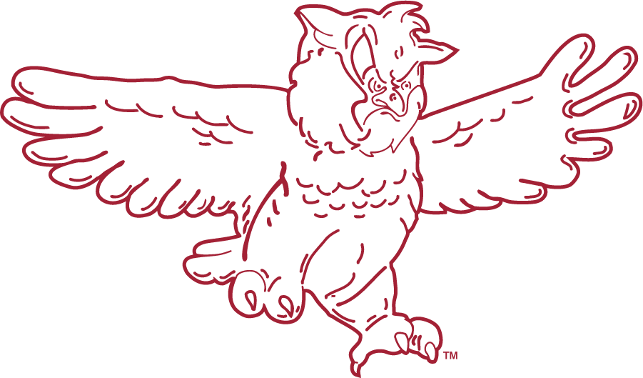 Temple Owls 1972-1983 Primary Logo DIY iron on transfer (heat transfer)